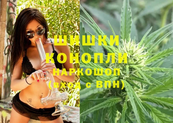 ГАЛЛЮЦИНОГЕННЫЕ ГРИБЫ Касимов